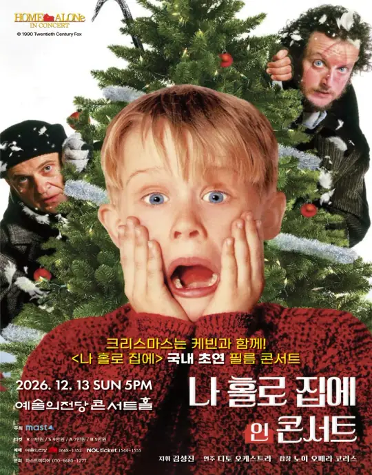 나 홀로 집에 인 콘서트 포스터